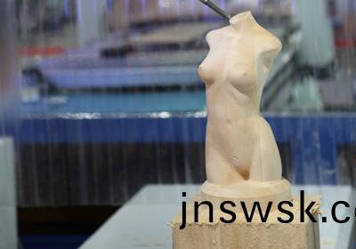 立(li)體(ti)人(ren)像(xiang)